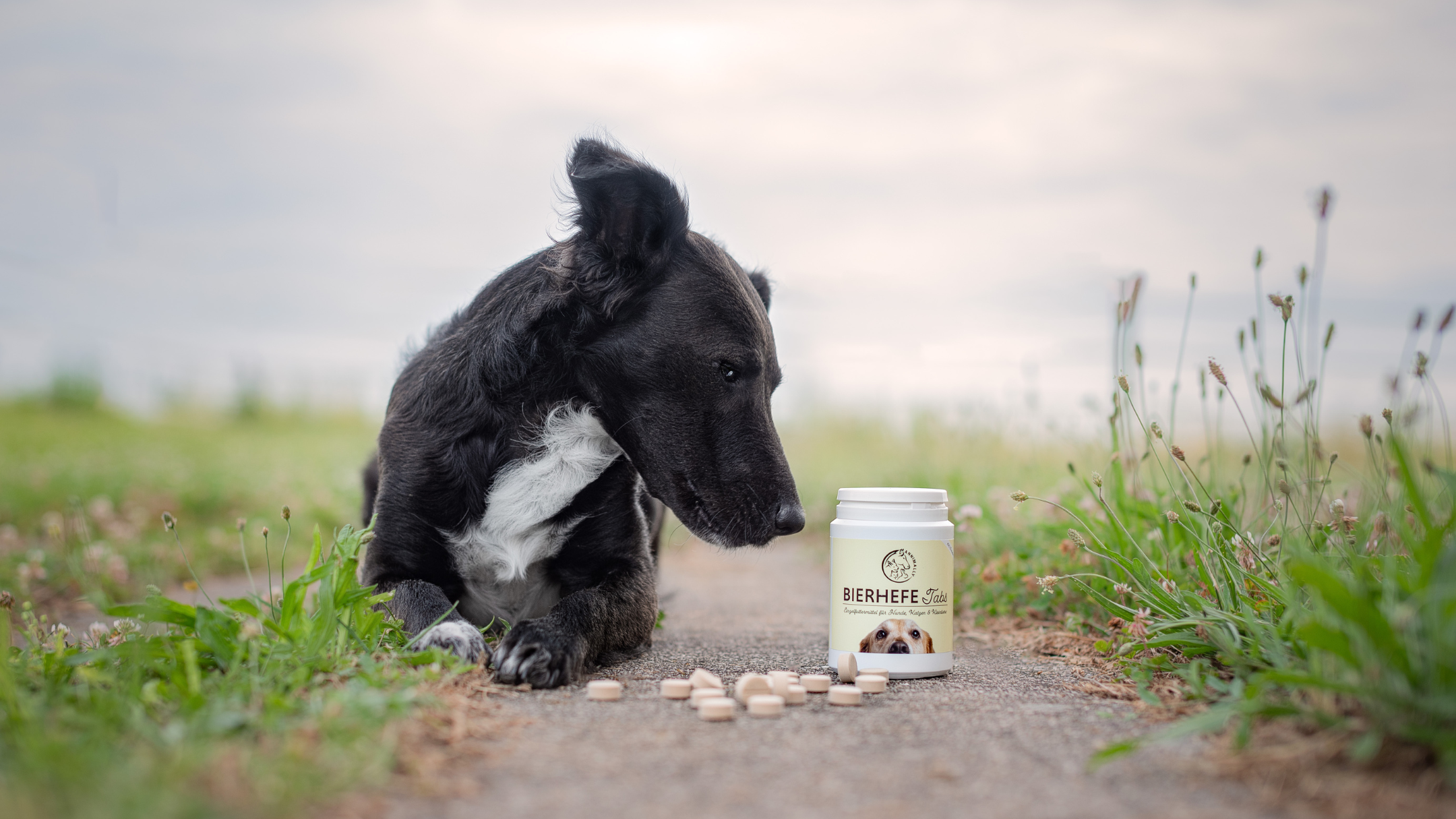 Natürliche Futterzusätze für Hunde