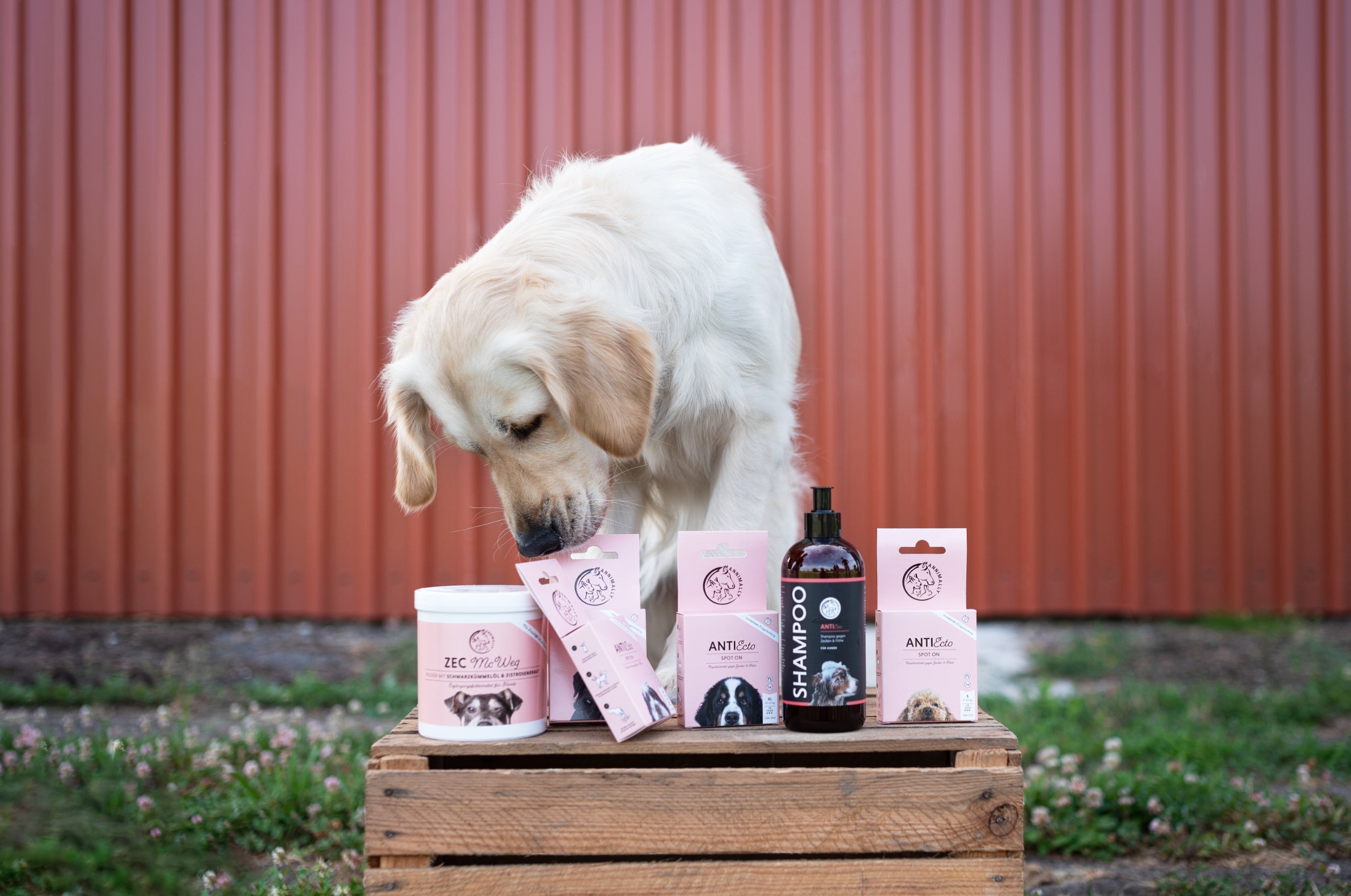 Saisonale Futterzusätze für Hunde