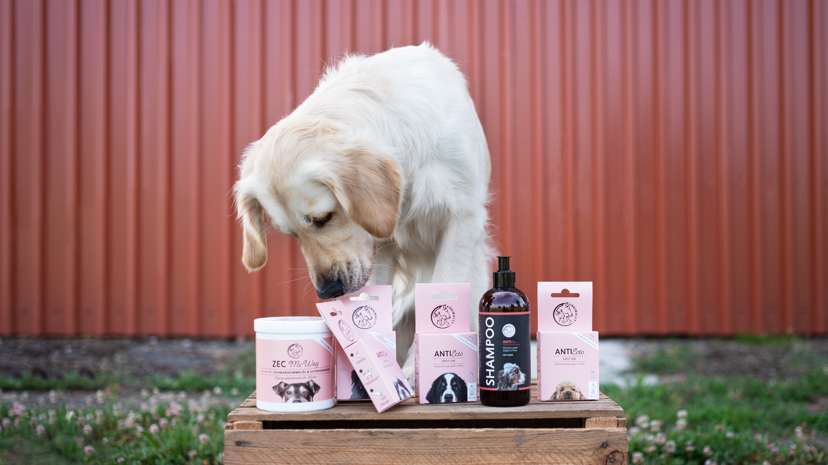 Floh- & Zeckenschutz für Hunde