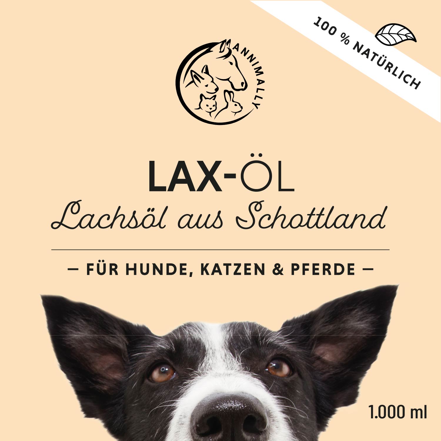 Lax-Öl