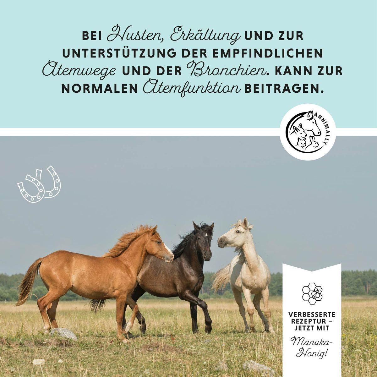 Bronchial Liquid für freie Atemwege – Futterzusatz für Pferde
