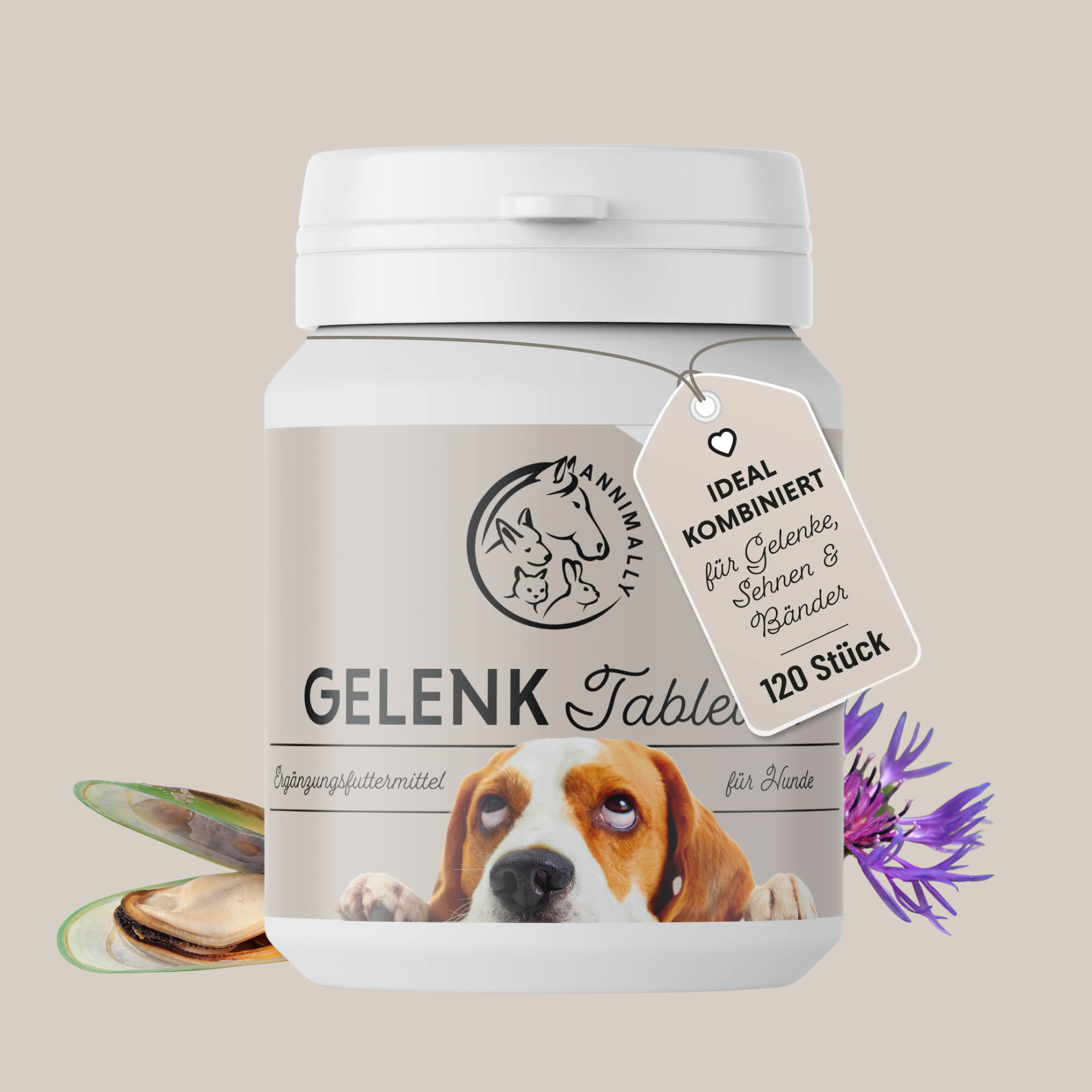 Gelenktabletten