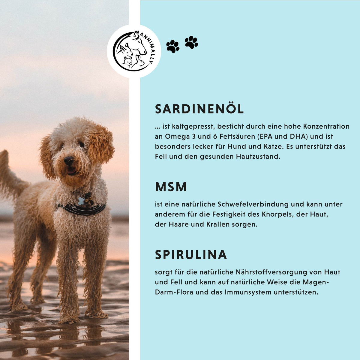 Haut & Fell Pulver von Annimally – Futtertopping für Hunde & Katzen