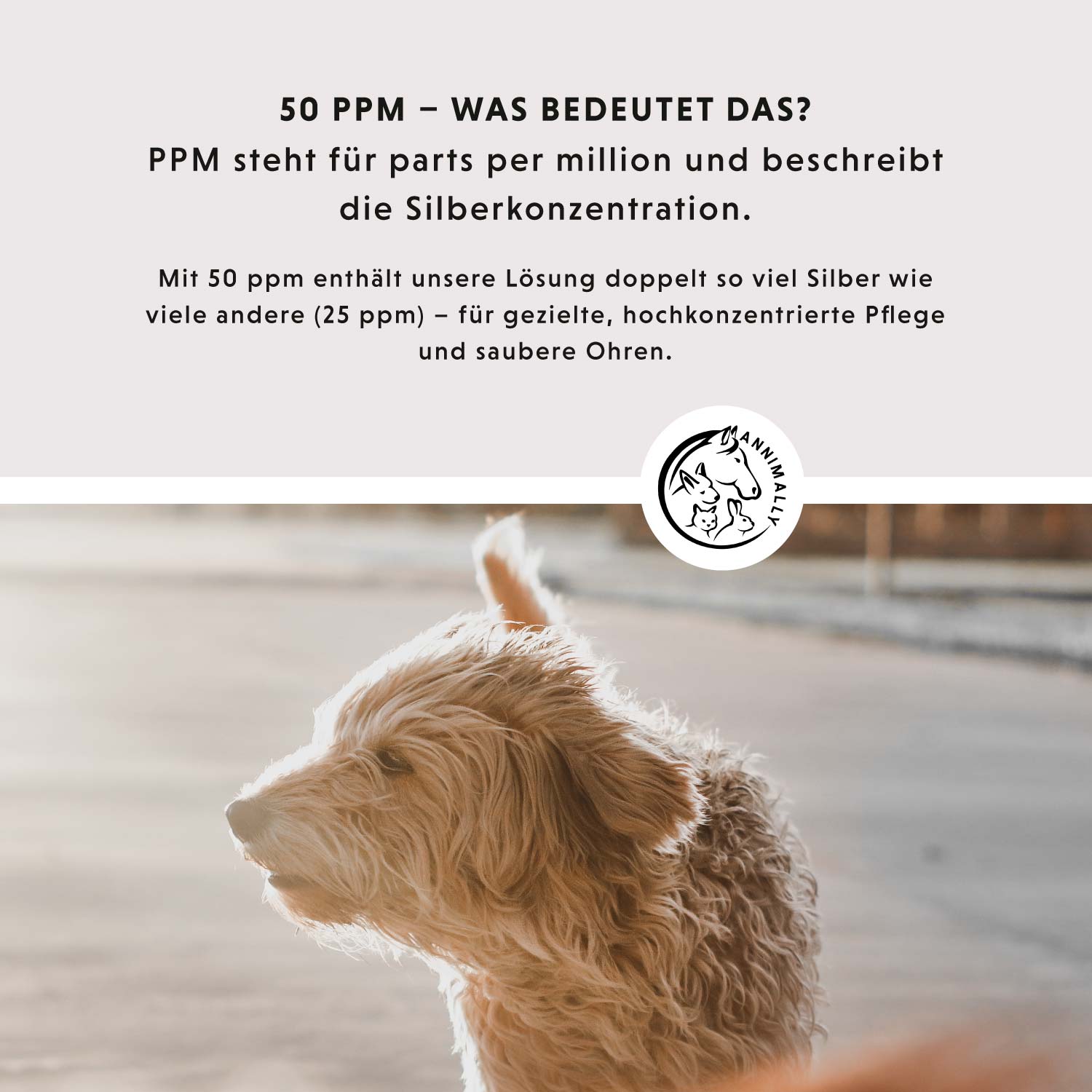Ohrenpflege mit kolloidalem Silber 50 ppm