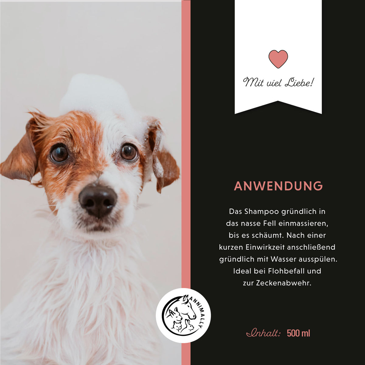 Pflegeprodukt für Hunde: Anti Ecto Zecken- & Floh-Shampoo