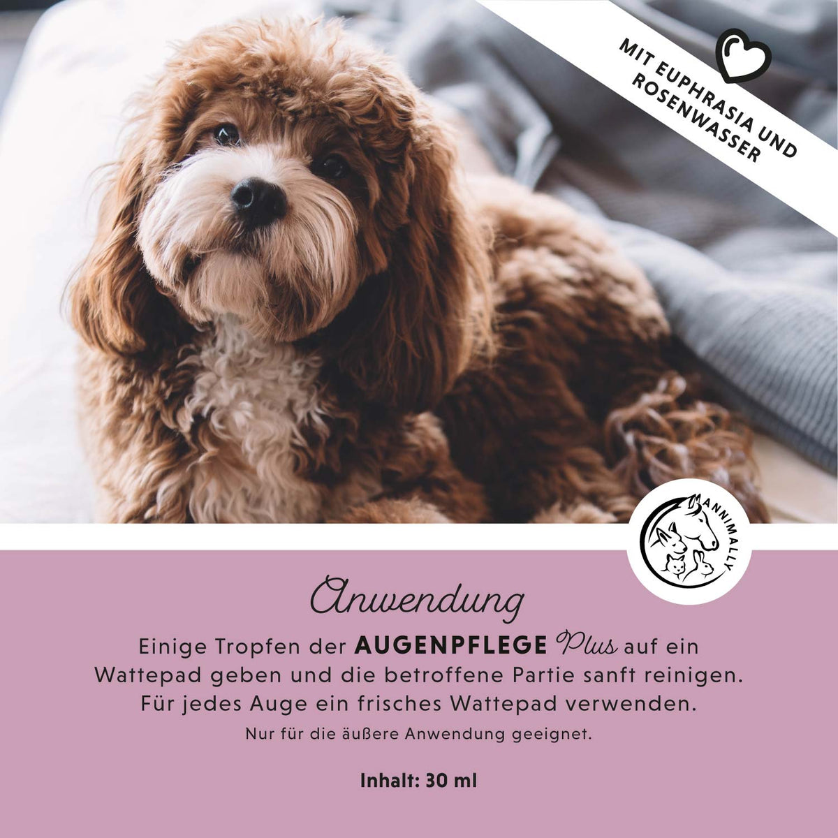 Pflegeprodukt für Hunde: Augenpflege Plus mit Euphrasia & Rosenwasser