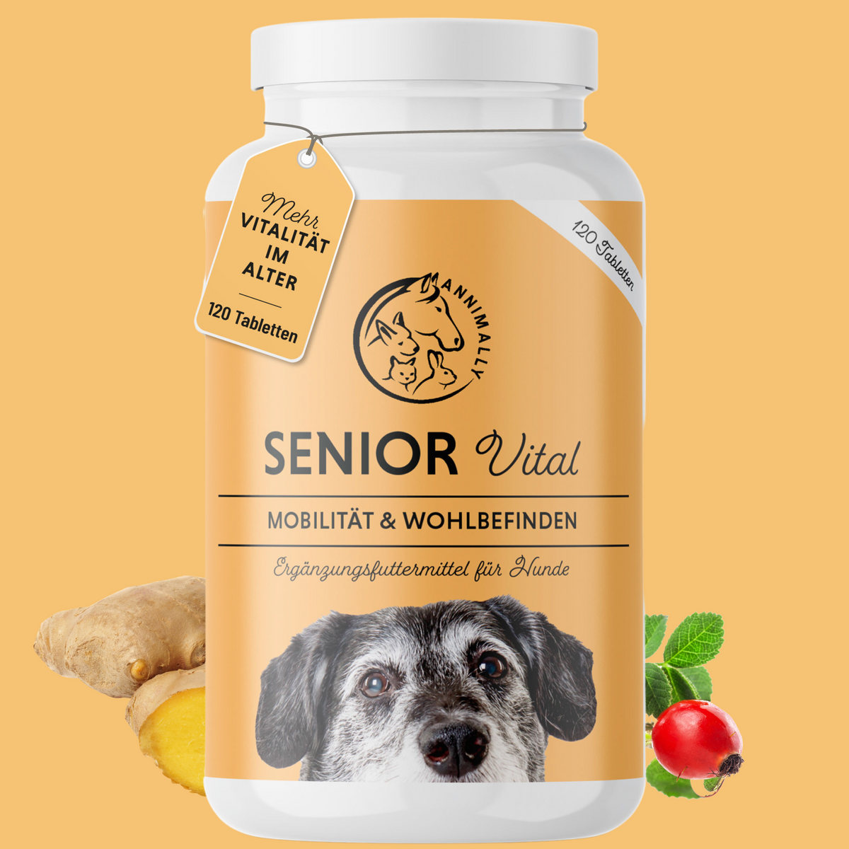 Senior Vital Tabletten für Hunde – Nahrungsergänzungsmittel für ältere Hunde | Annimally