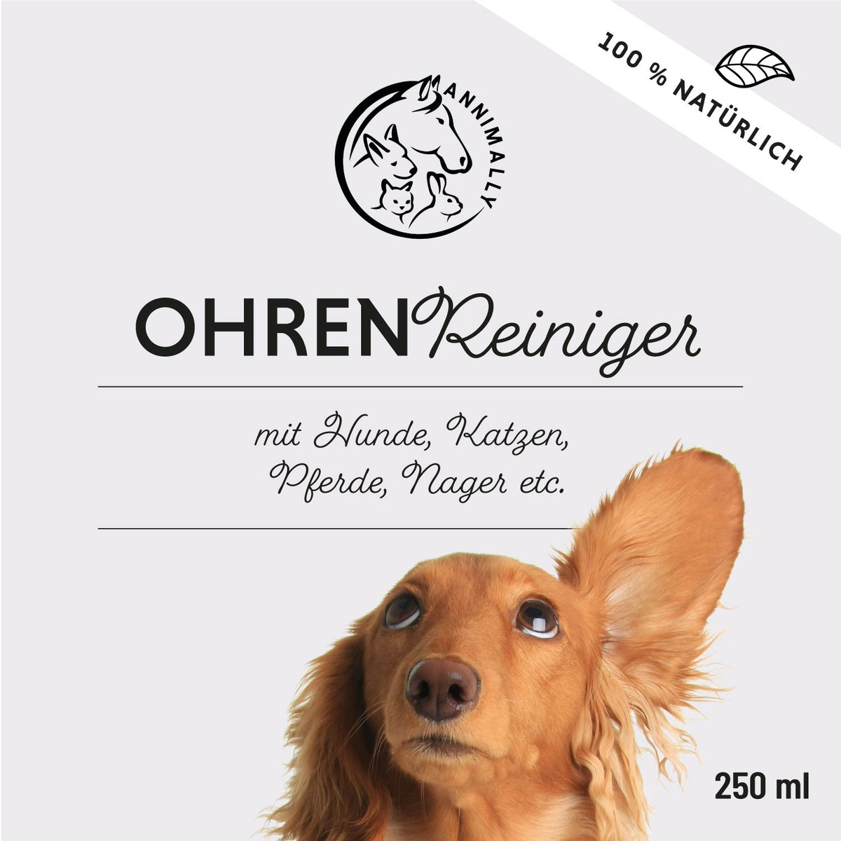 Set mit Pflegeprodukten für Hunde, Katzen & Pferde: Wellness-Box für Augen, Ohren & Fell