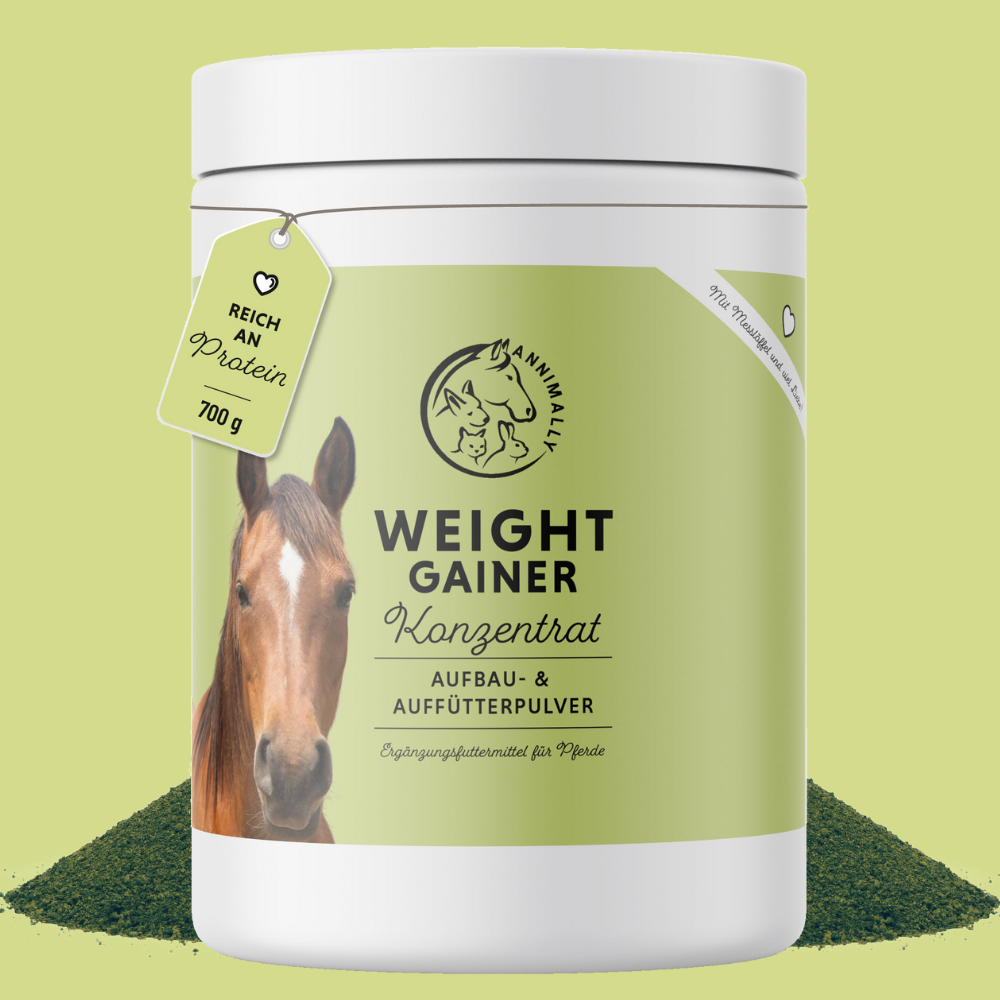 Weight Gainer Konzentrat für Pferde – Nahrungsergänzungsmittel für gesunde Gewichtszunahme | Annimally