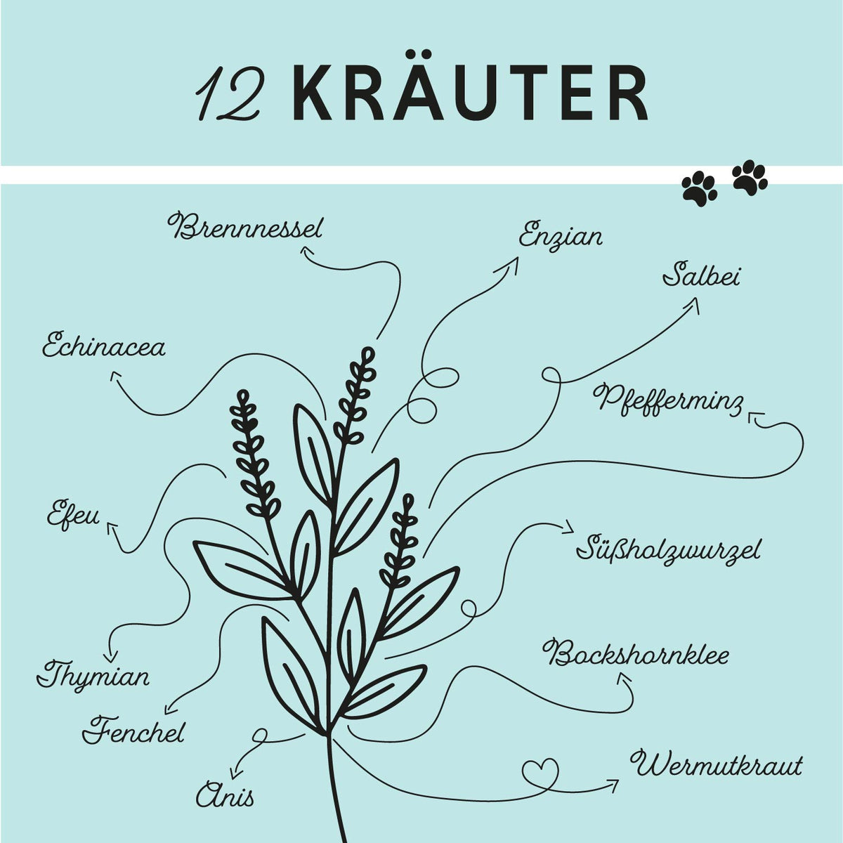 Winter-Box von Annimally – Box mit Futtertoppings für Hunde