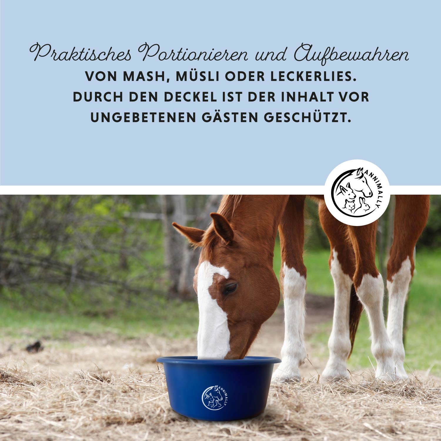 Futterschüssel