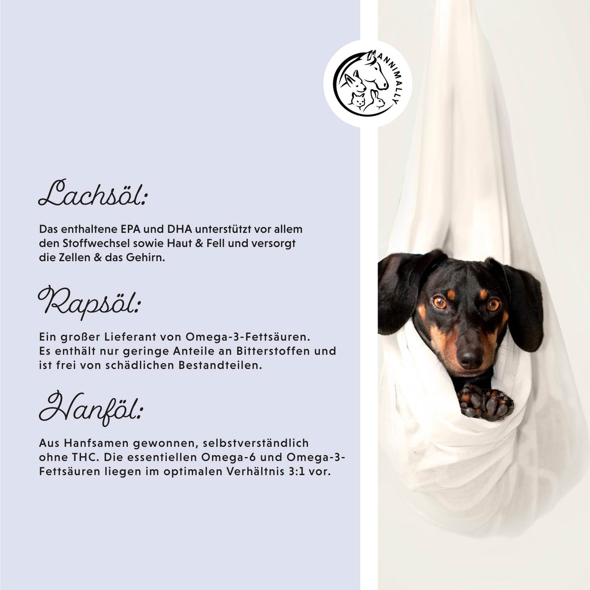 Barf-Box XL – Set mit Nahrungsergänzungsmitteln für Hunde & Katzen