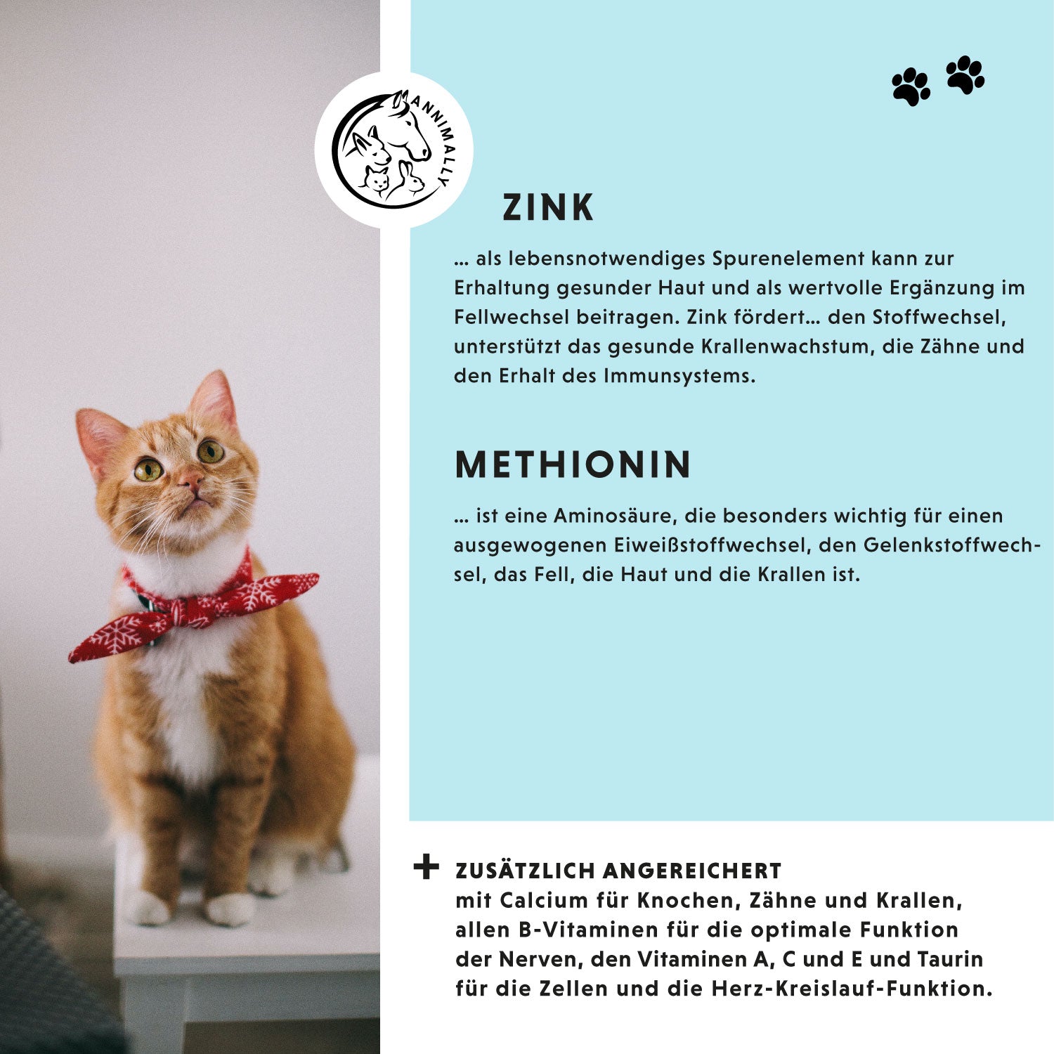Unsere Wirkstoffe zur ideale Fellpflege von Hund und Katze