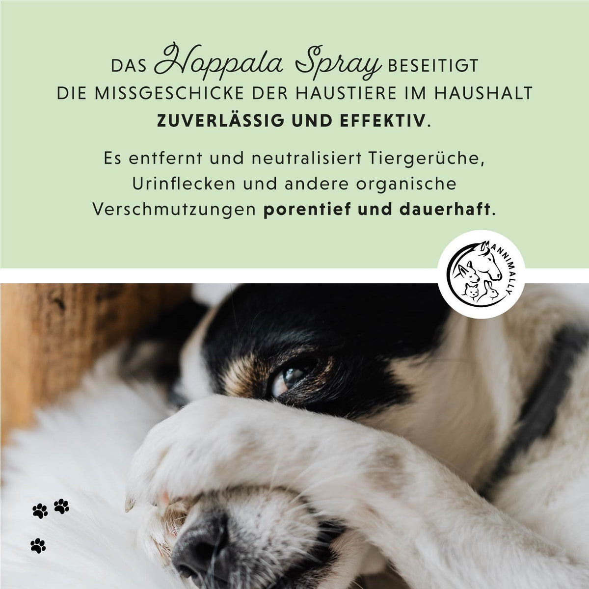 Hoppala Spray als Enzymreiniger gegen Urin & Gerüche – Tierpflege für Hunde, Katzen & Kleintiere