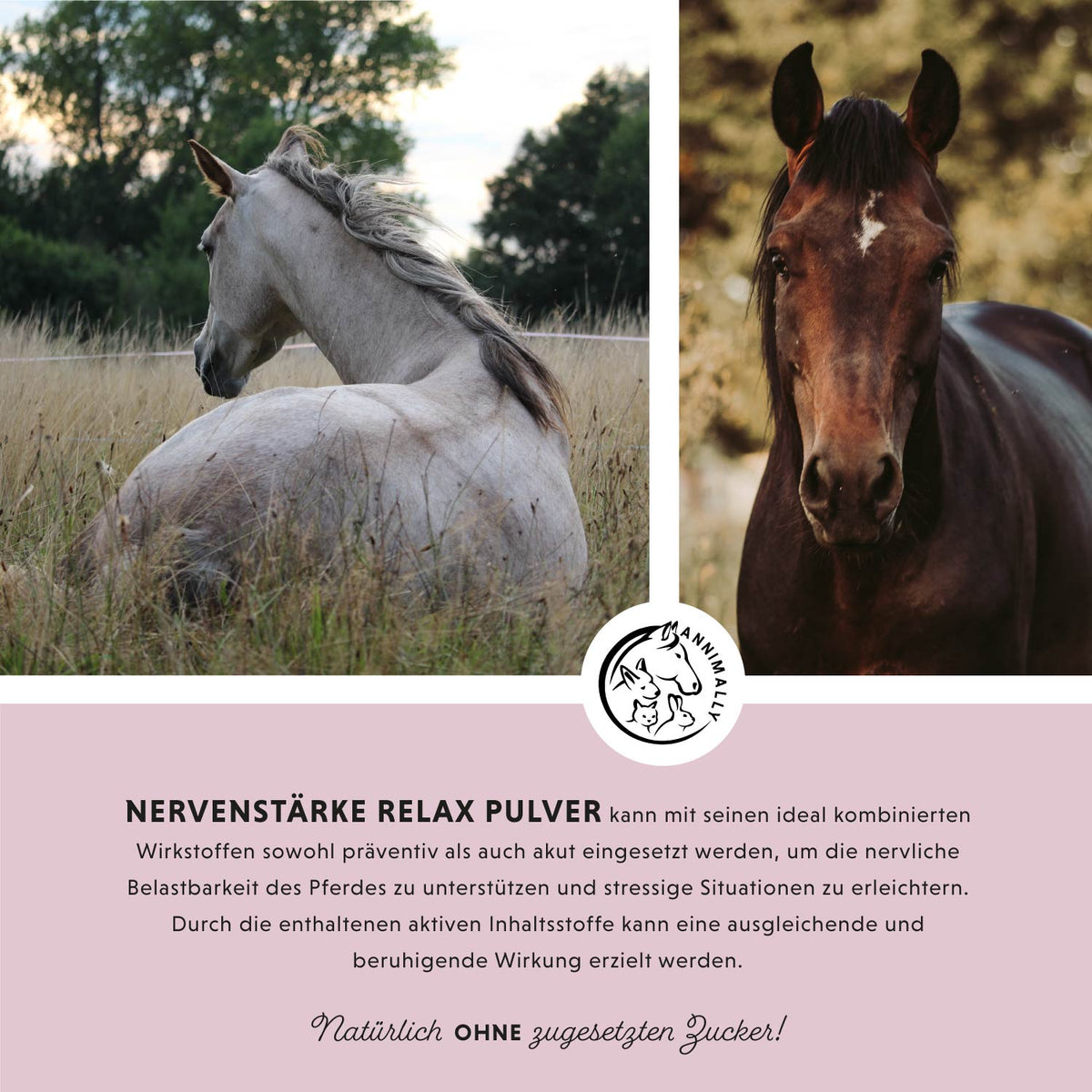 Nervenstärke Relax Pulver von Annimally – Futtertopping für Pferde