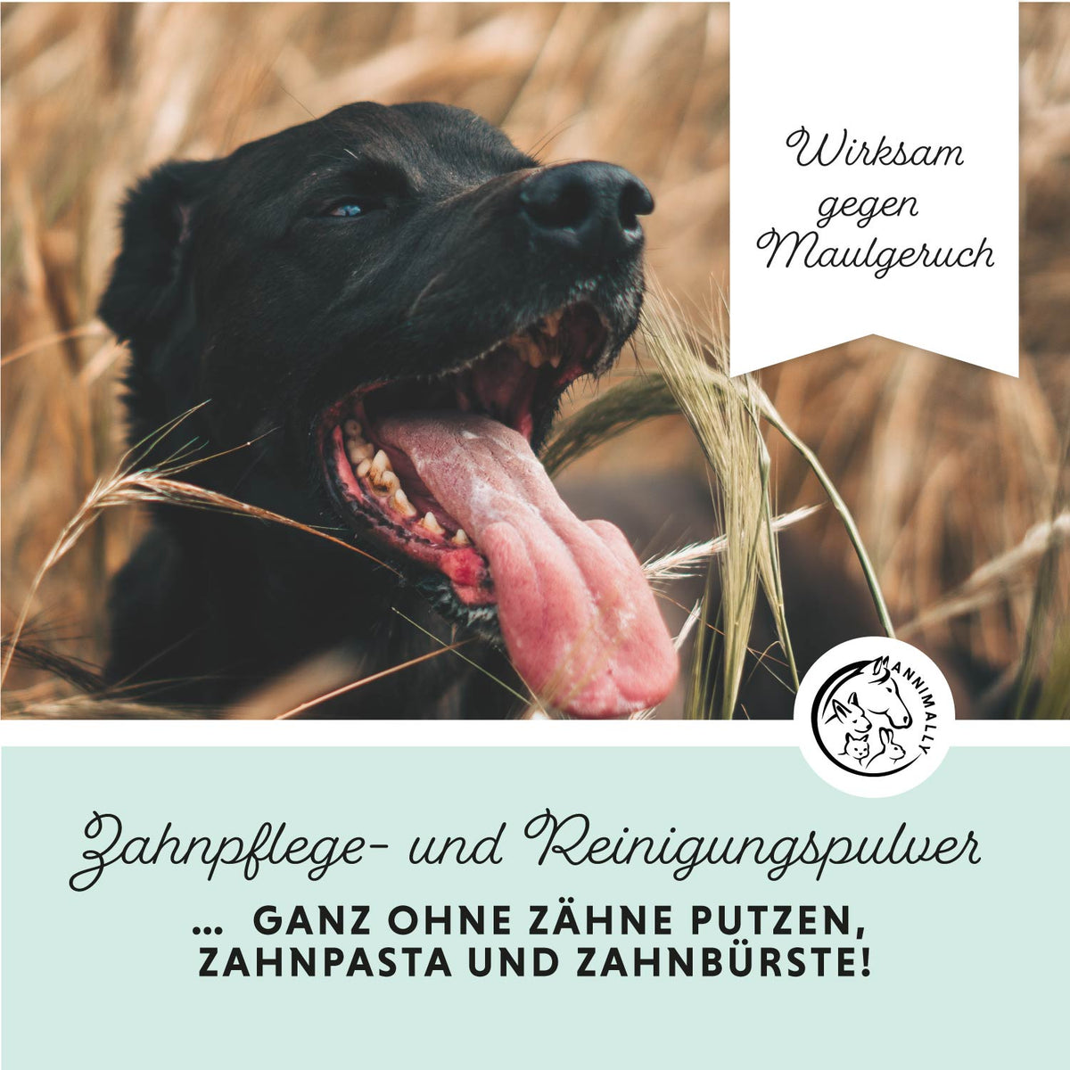 Oral Vital für Hunde – Futterergänzung für gesunde Zähne & frischen Atem | Annimally