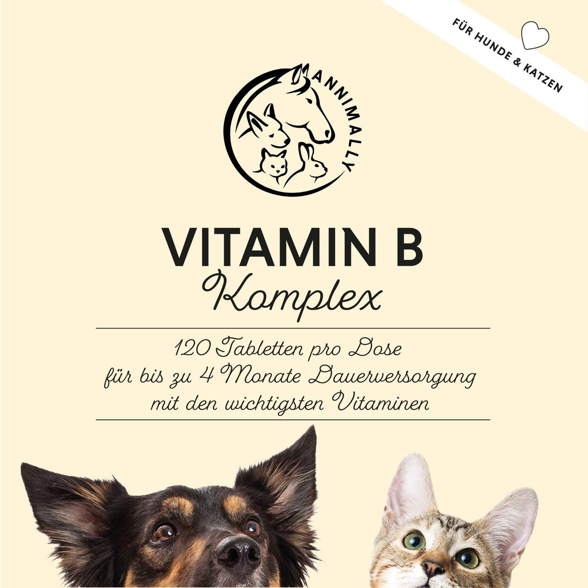 Set mit Futterzusätzen für Katzen: Kitty-Box für Gelenke & Wohlbefinden