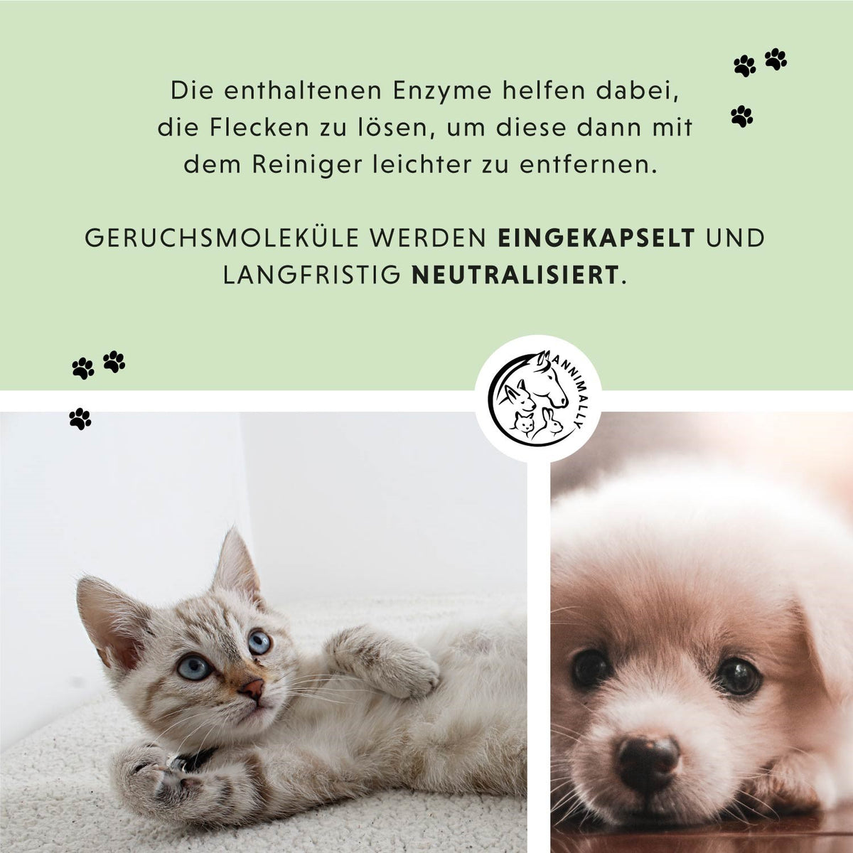 Tierpflege für Hunde, Katzen & Kleintiere: Hoppala Spray als Enzymreiniger gegen Urin & Gerüche