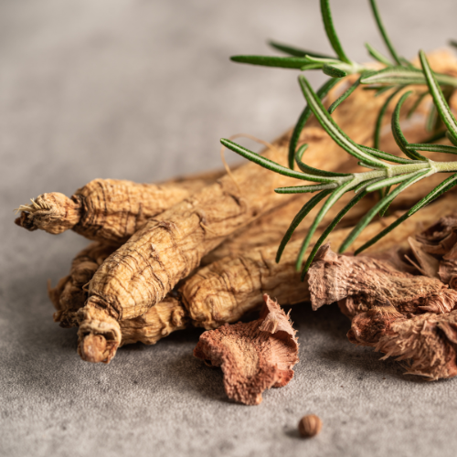 Ginseng für Hunde: Natürliche Unterstützung für Vitalität und Gesundheit