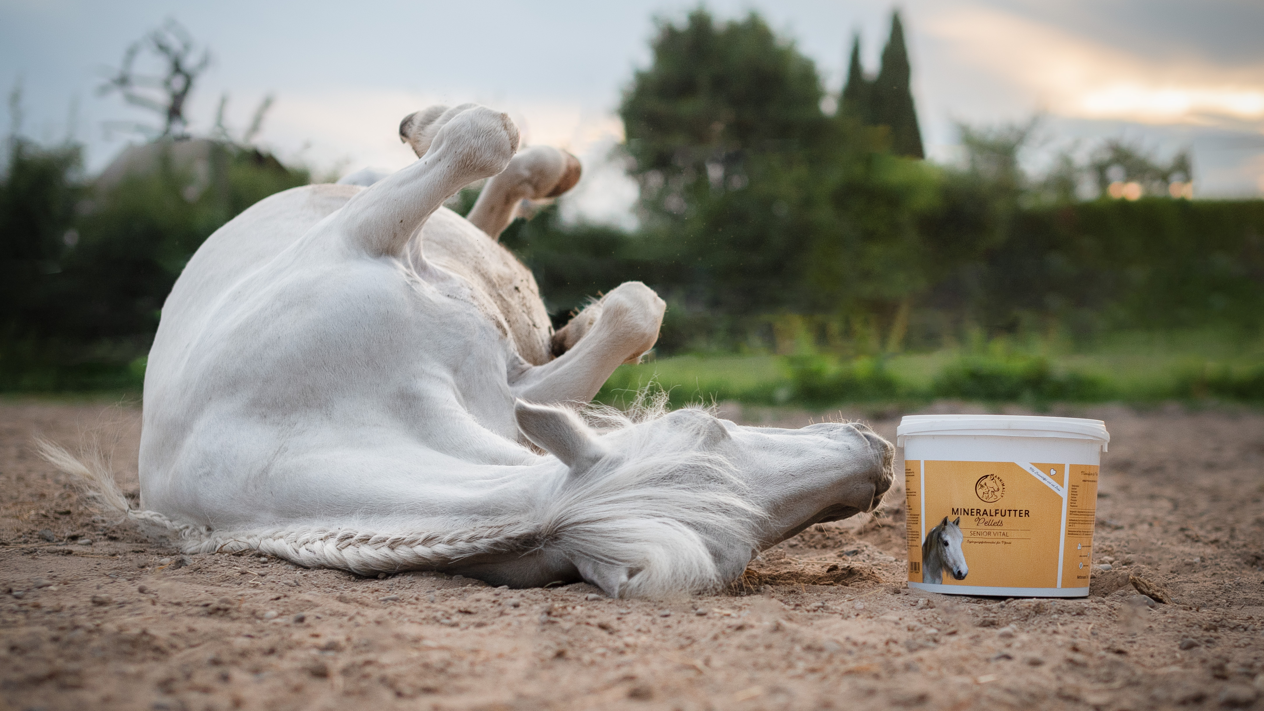 Mineralfutter für Pferde