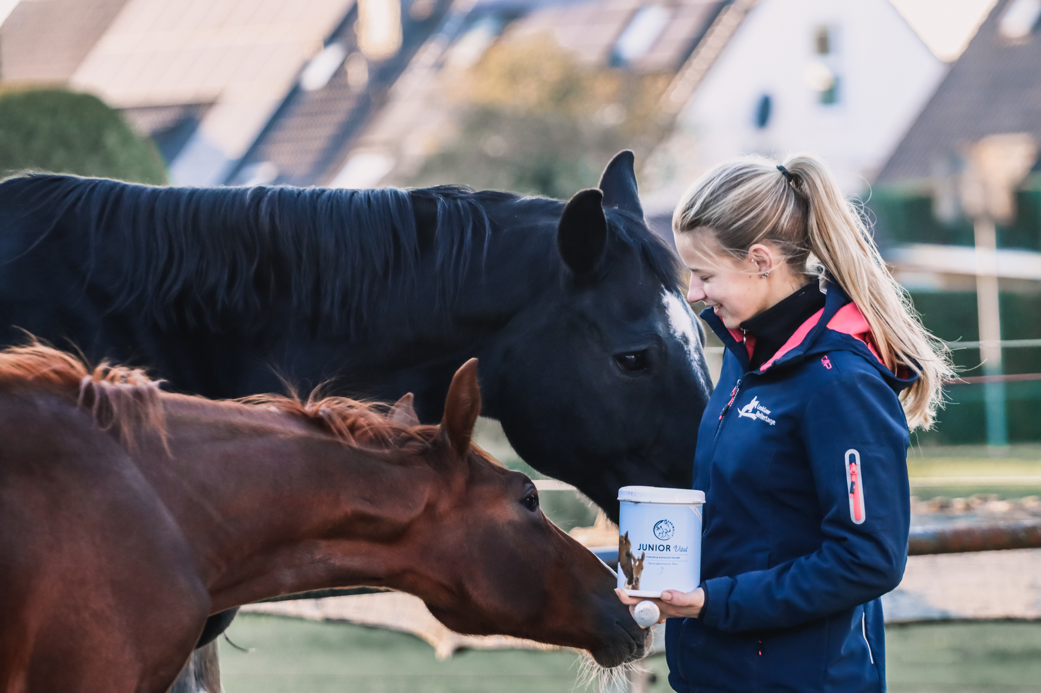 Futterzusätze zur Aufzucht von Fohlen