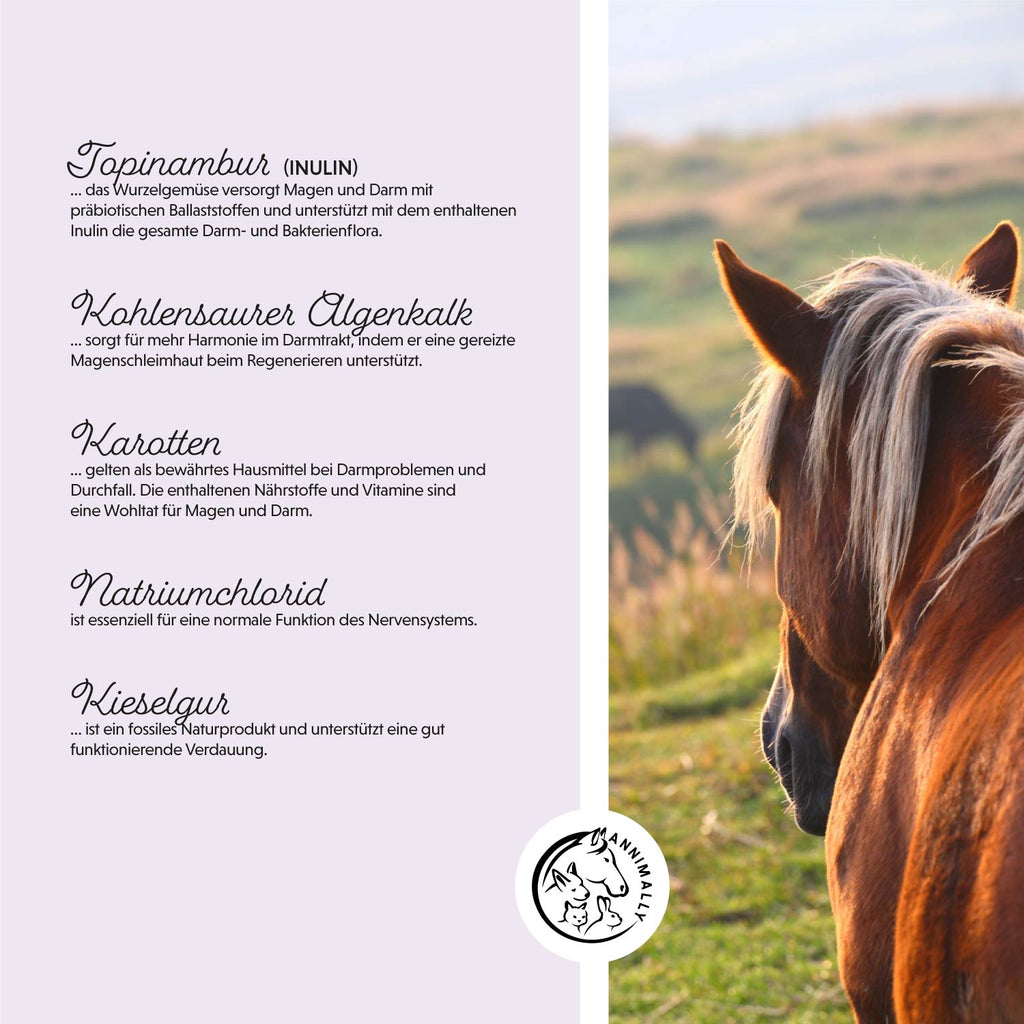 Colon Vital Pulver - Darmsanierung für Pferde – Annimally