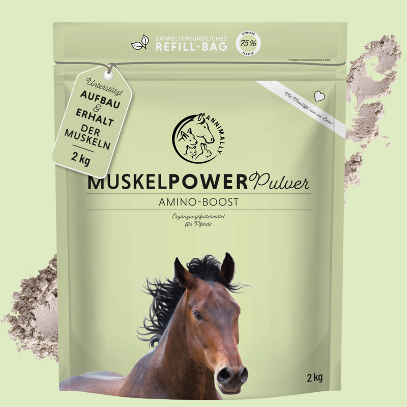 Muskelpower Pulver