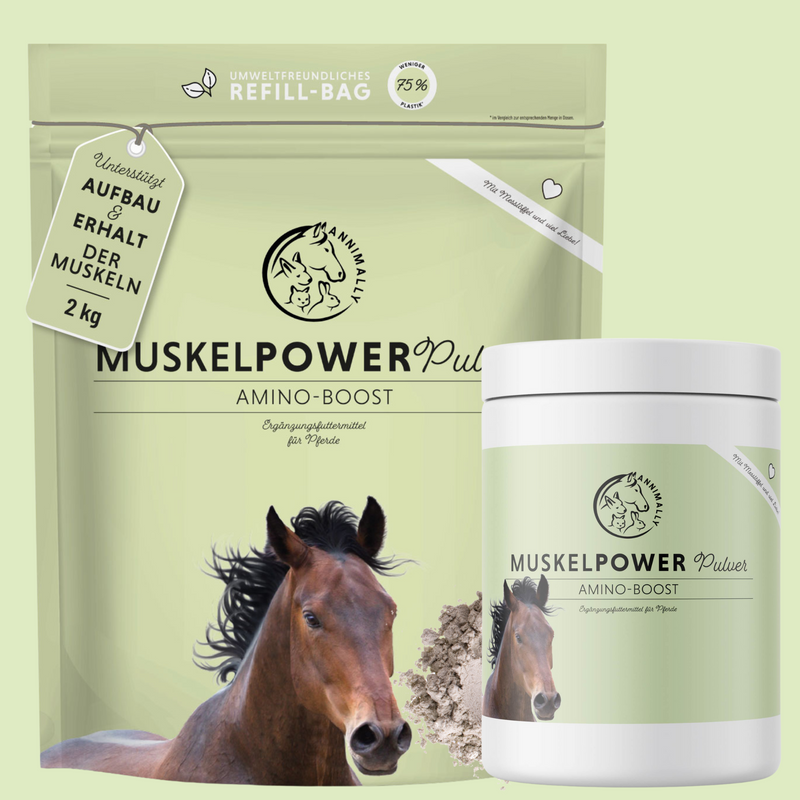 Muskelpower Pulver