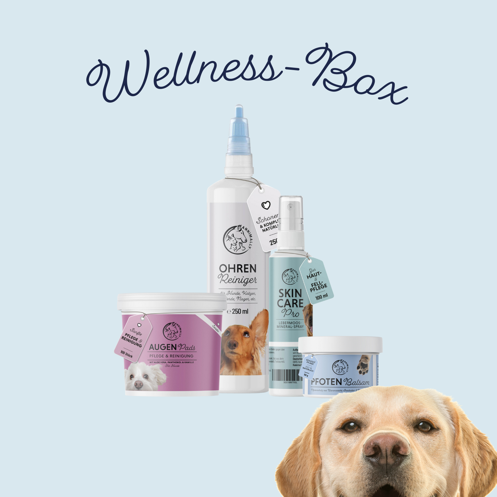 Wellness Box