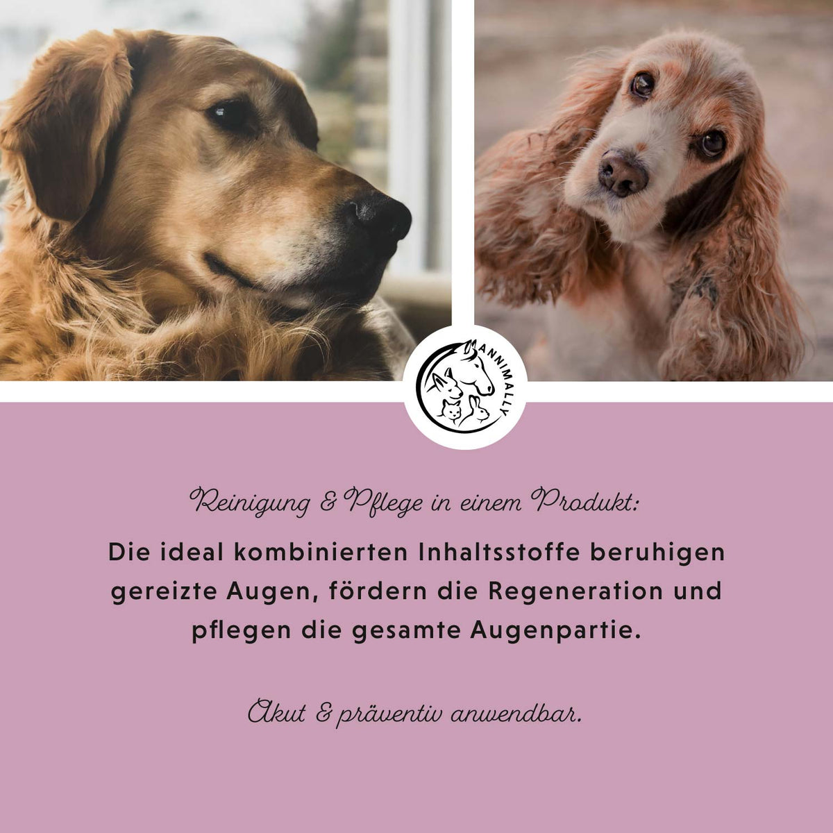 Augenpflege Plus mit Euphrasia & Rosenwasser – Pflegeprodukt für Hunde