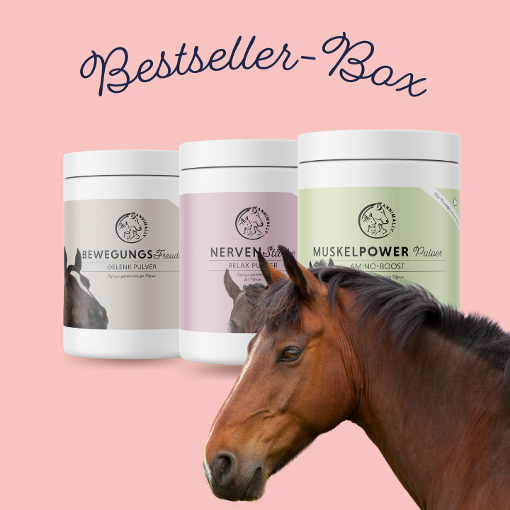 Bestseller-Box Pferd mit den beliebtesten Produkten – Set mit Nahrungsergänzungsmitteln von Annimally