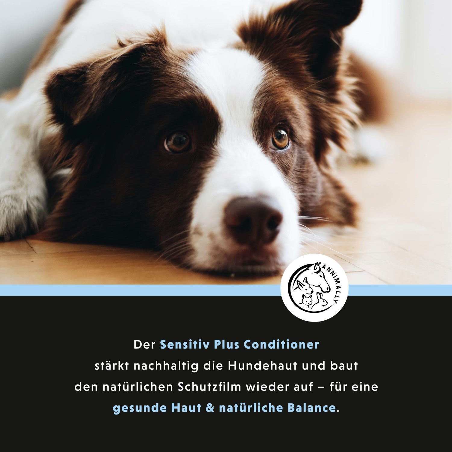 Sensitiv Plus Conditioner