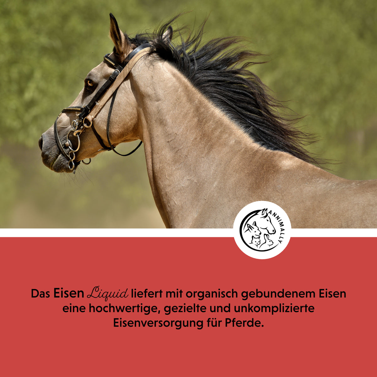 Eisen Liquid