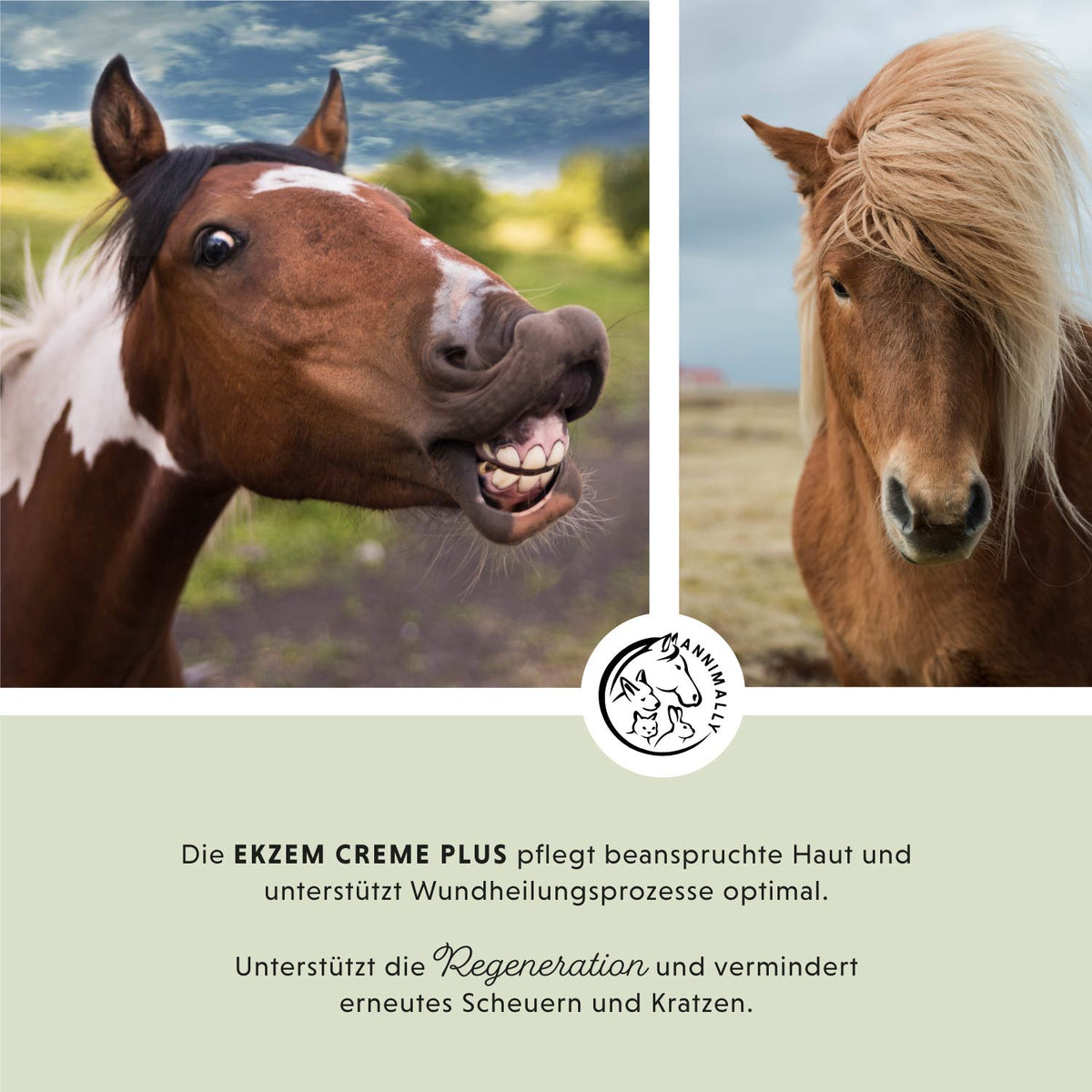 Ekzem Creme Plus für Pferde – natürliche Pflege bei Sommerekzem | Annimally
