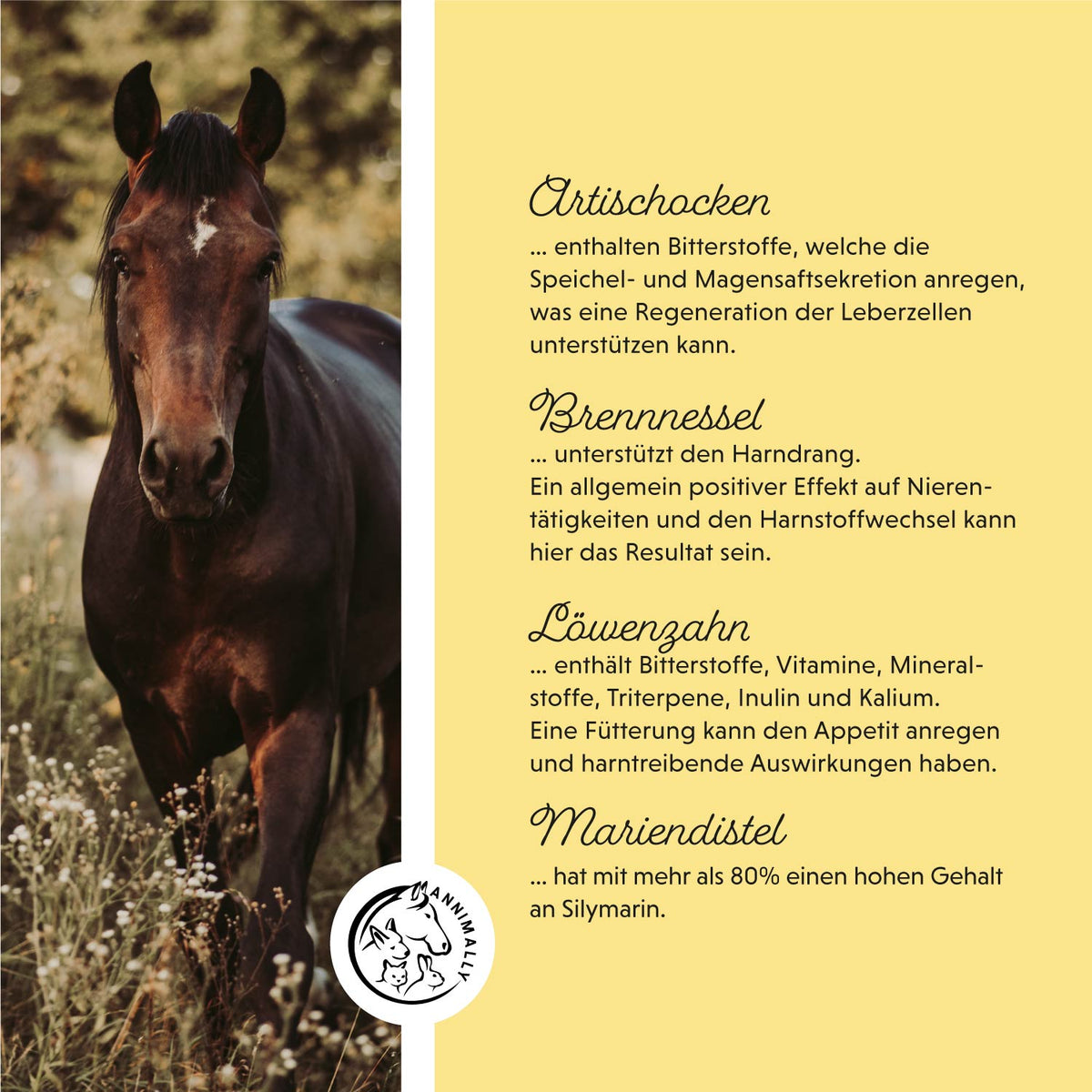 Futterzusatz für Pferde: Leber-Nieren Liquid