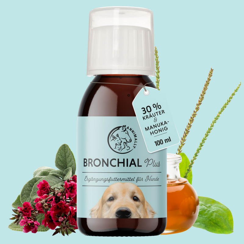 Bronchial Plus