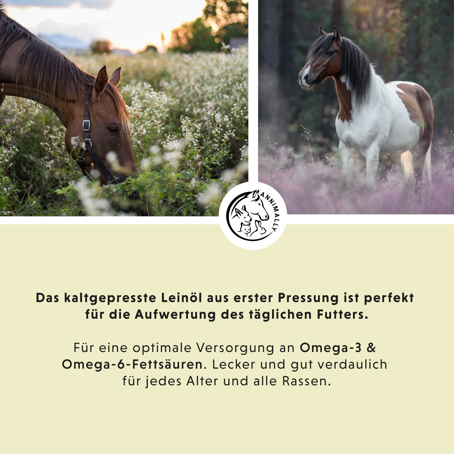 Linseed oil 5 L