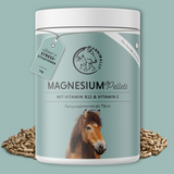 magnesium pellets