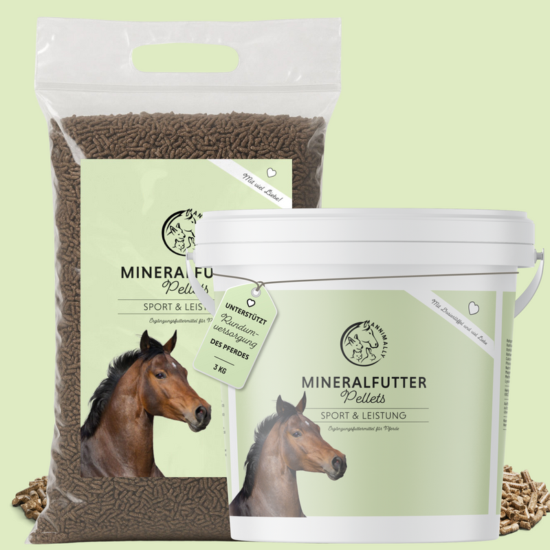 Mineral food sports & performance