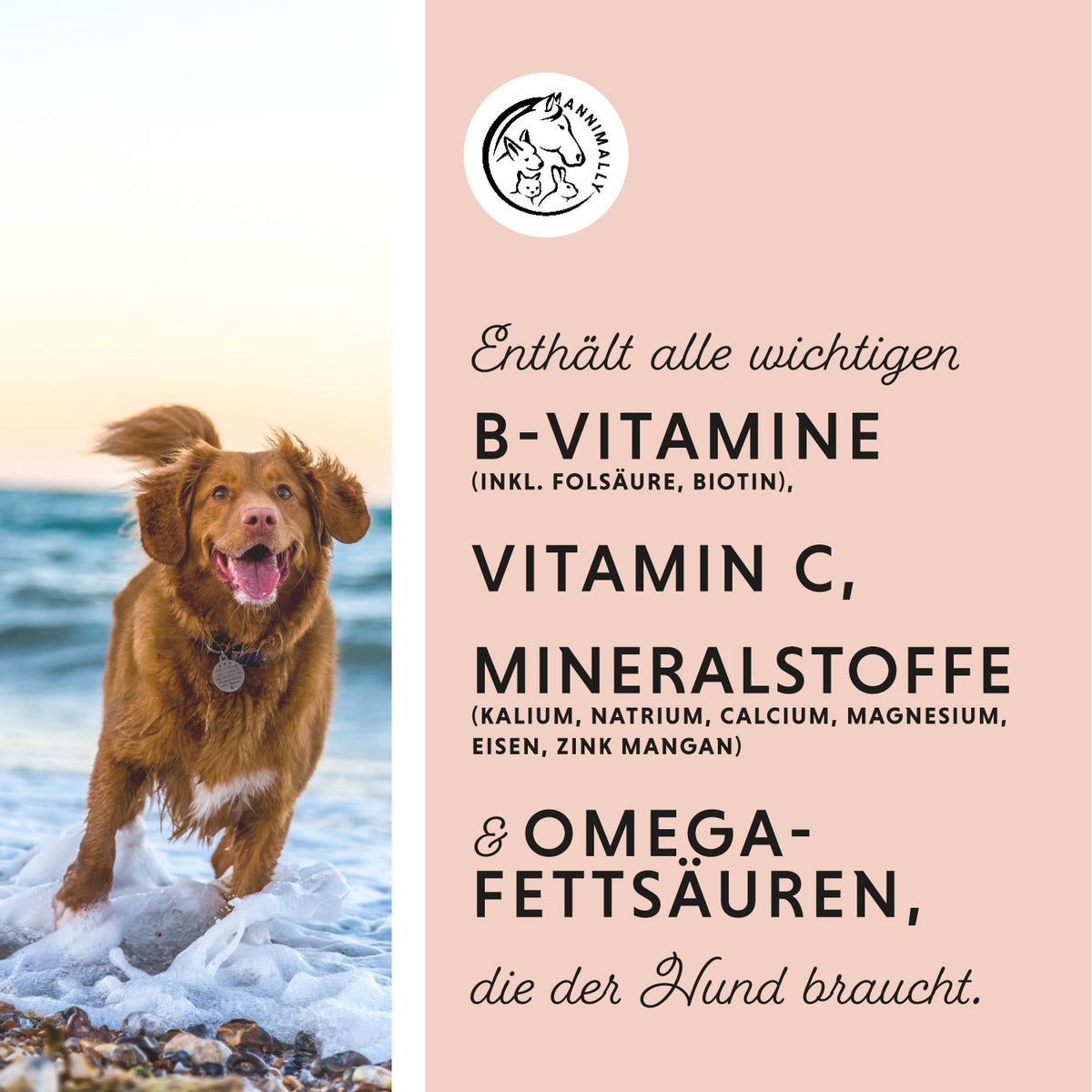 Multi Vital Pulver von Annimally für Vitalität & Immunsystem – Futtertopping für Hunde