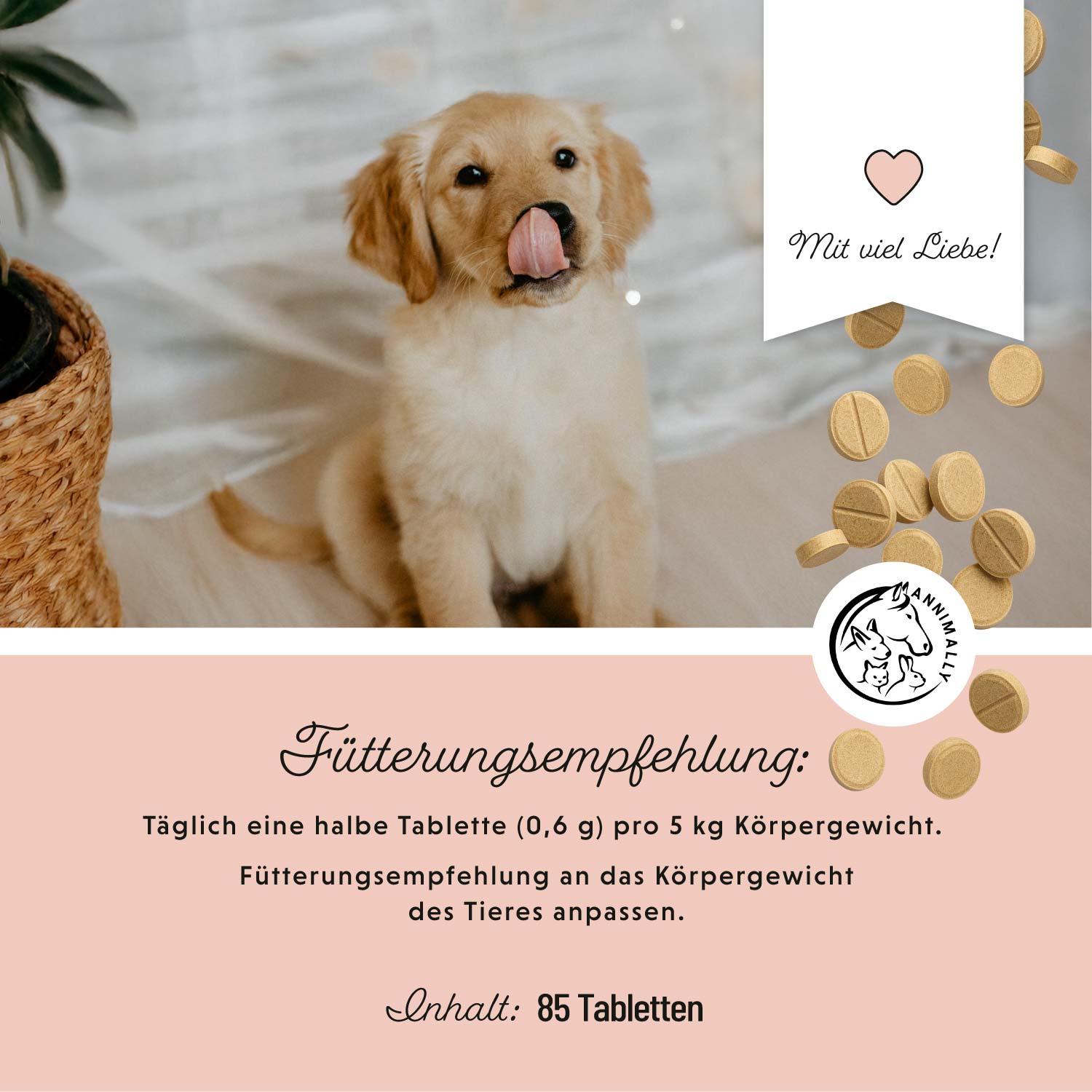 Dog‘s Daily Junior