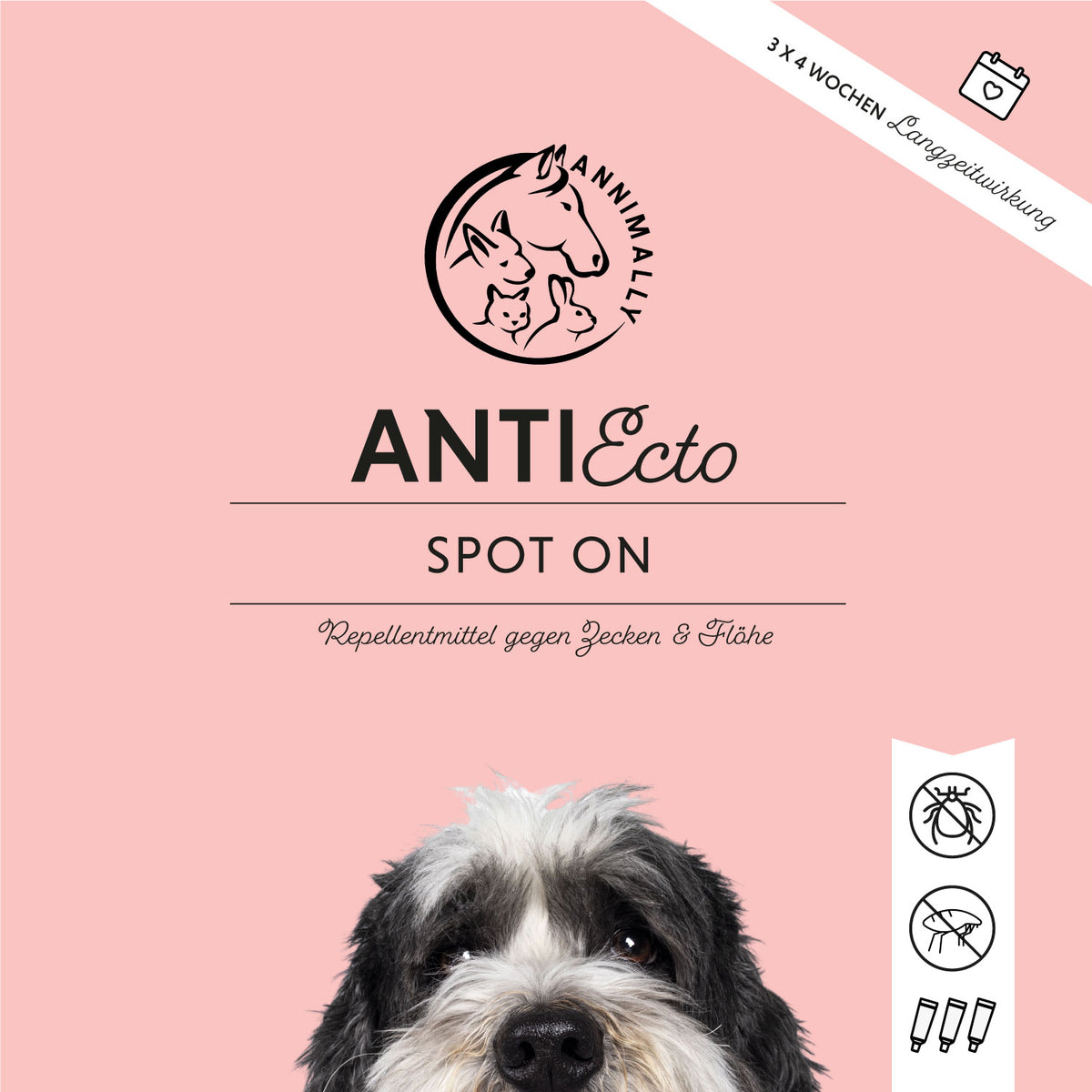 Natürliche Pflege für Hunde: Anti Ecto Spot On gegen Zecken & Flöhe