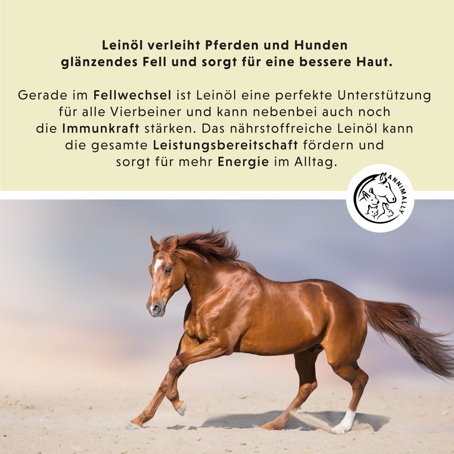 Linseed oil 5 L