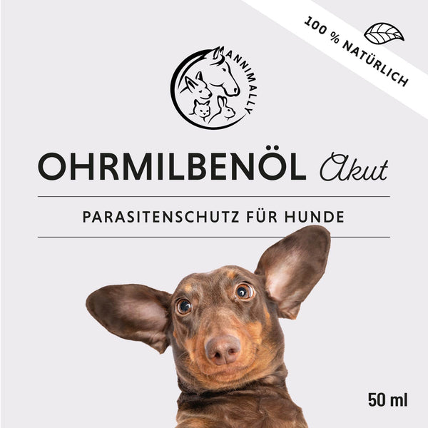 Ohrmilbenöl Akut
