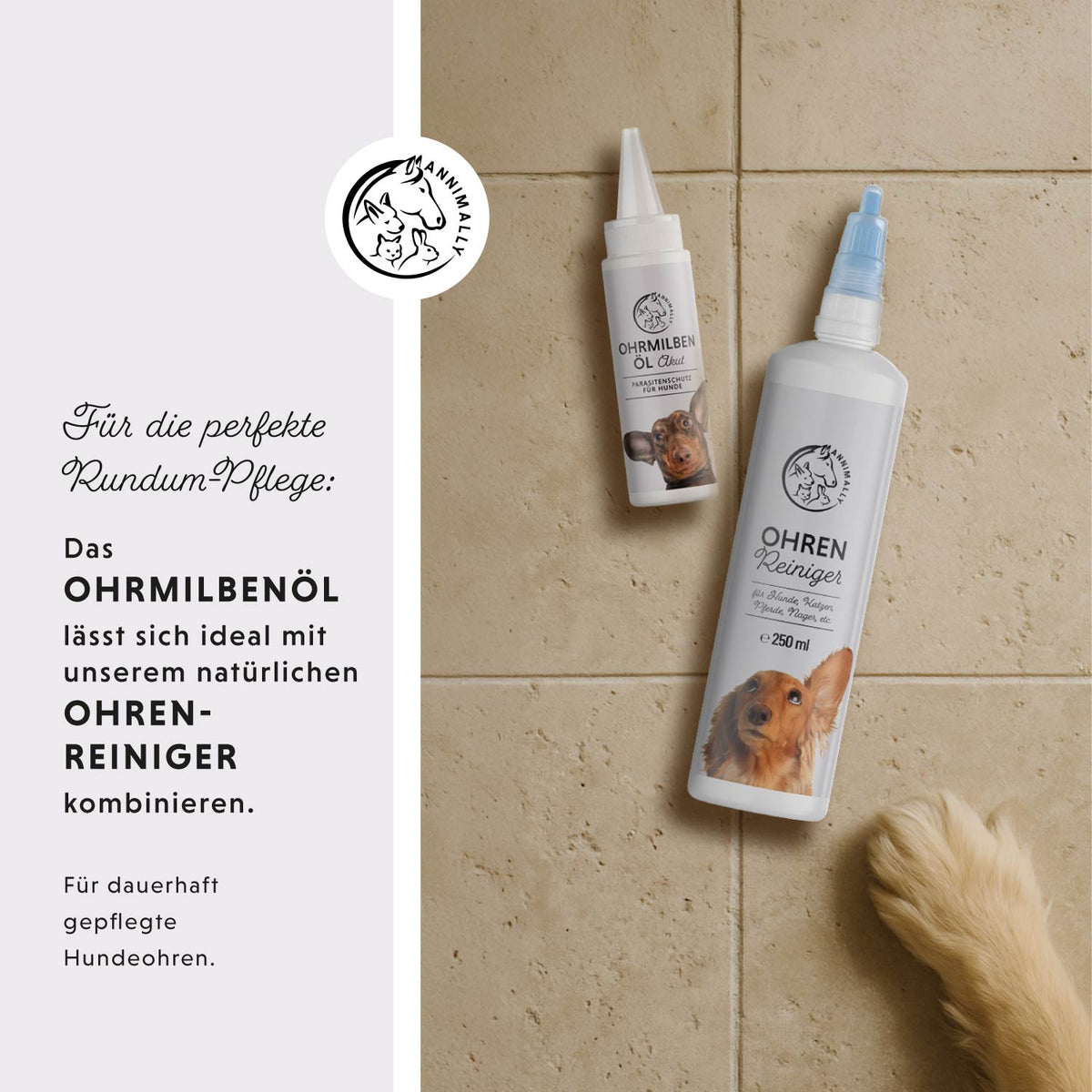 Ohrmilbenöl Akut für Hunde – Tierpflege | Annimally