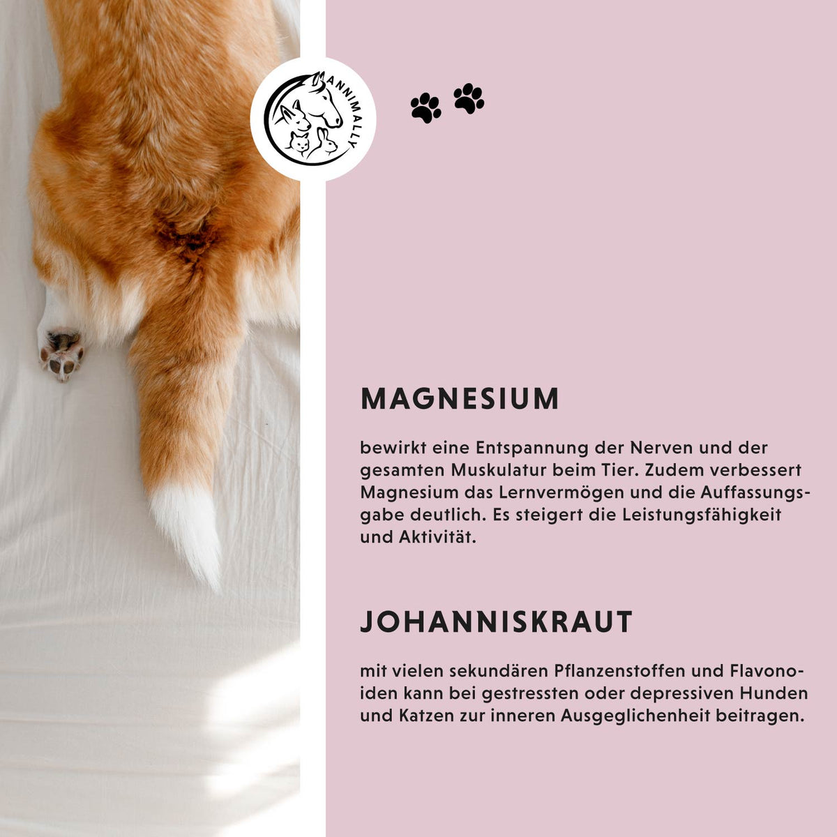 Relax Flüssig für Hunde & Katzen – Futterergänzung zur natürlichen Beruhigung | Annimally