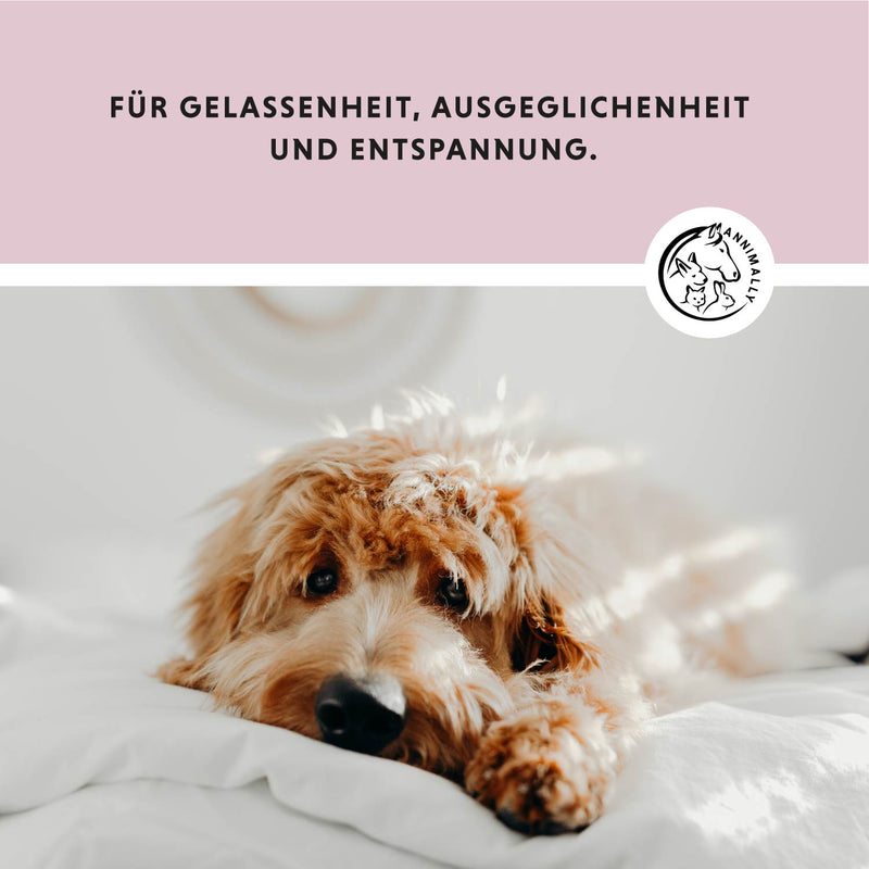 Relax XL² Tabletten (kurzes MHD)