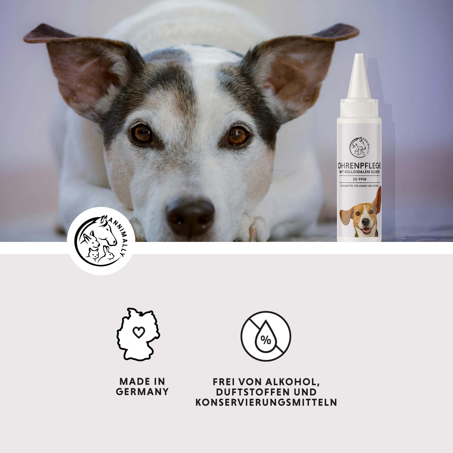 Ohrenpflege mit kolloidalem Silber 50 ppm