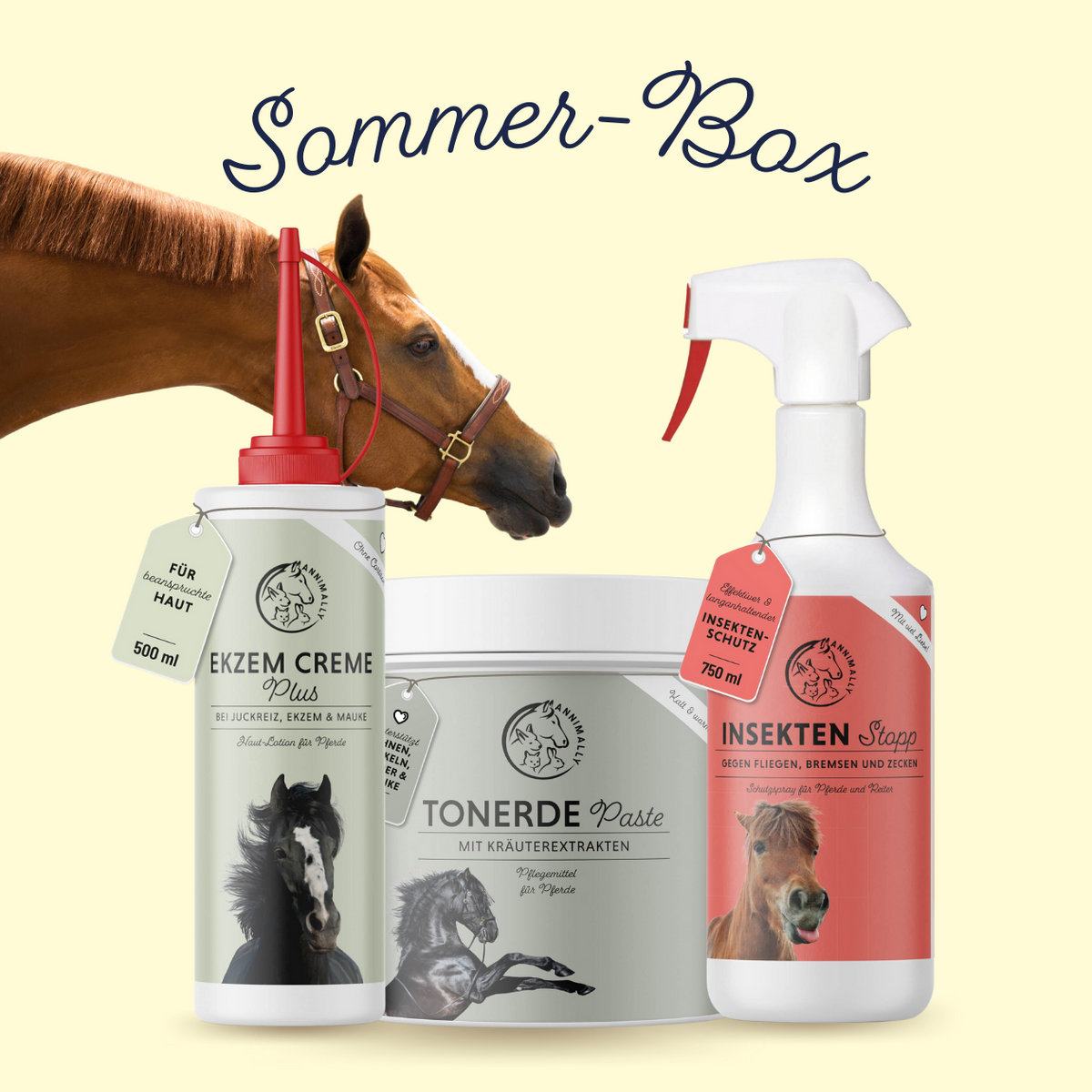 Sommer-Box für Pferde – Set mit Nahrungsergänzungsmitteln von Annimally