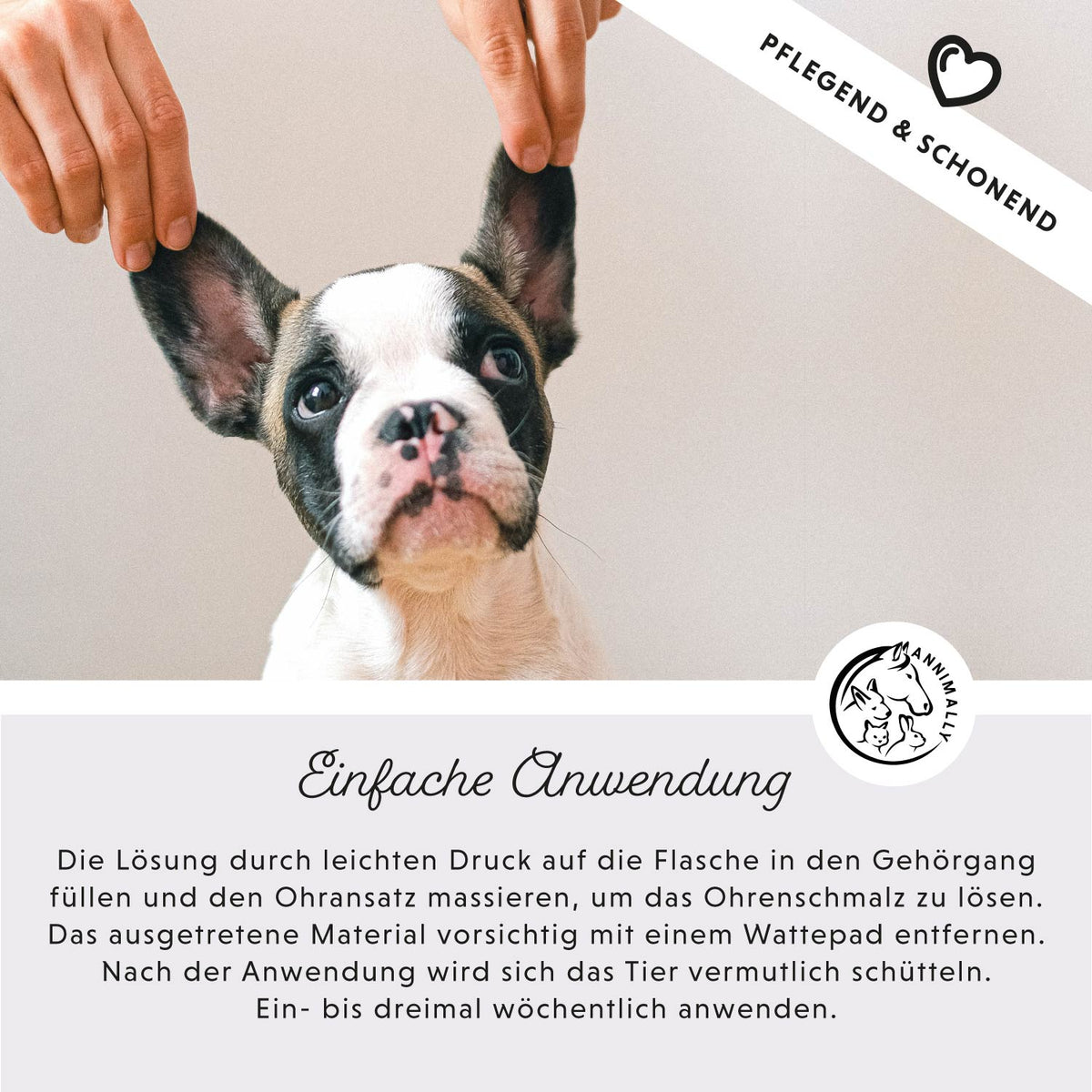 Wellness-Box für Hunde, Katzen & Pferde für Augen, Ohren & Fell – Set mit Pflegeprodukten von Annimally